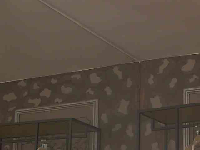 VeronaNoct webcam