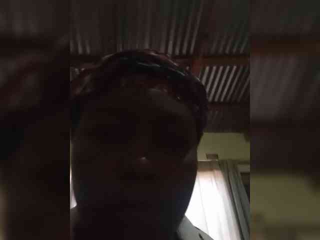 BlondeDolphin