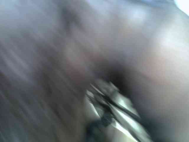 BustyAmy webcam