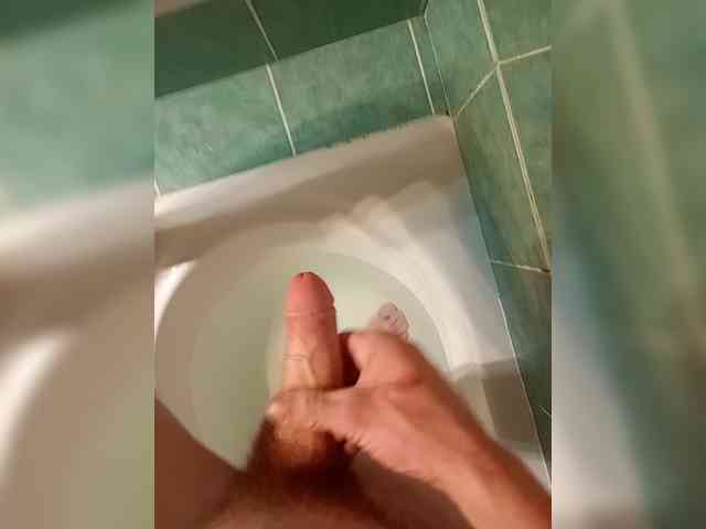 nikiyank6 nikiyank6