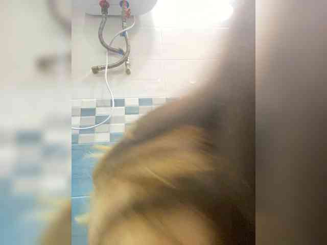 Sakura555 webcam