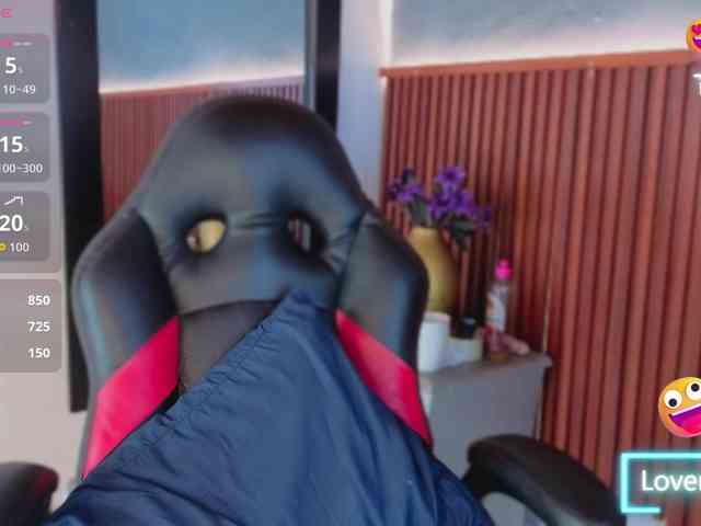 Gaviluc webcam