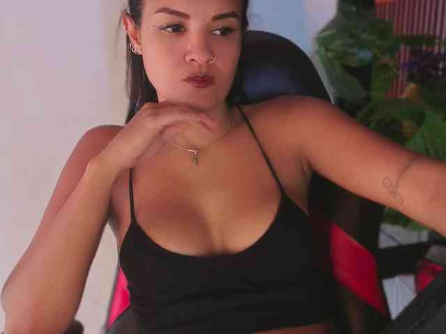 Gaviluc webcam