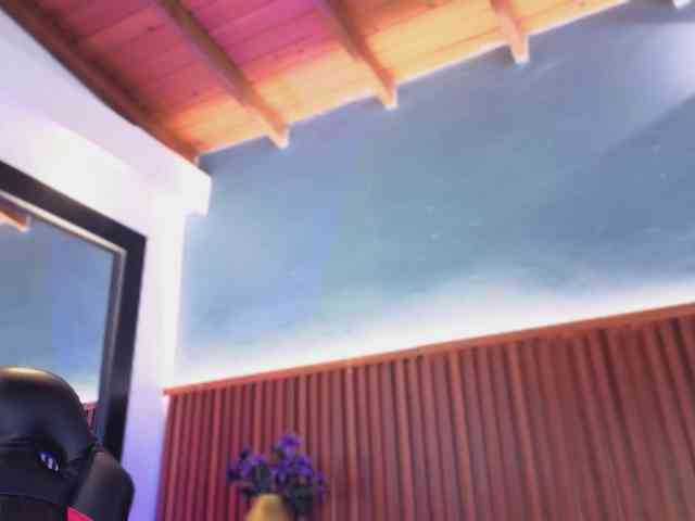 Gaviluc webcam