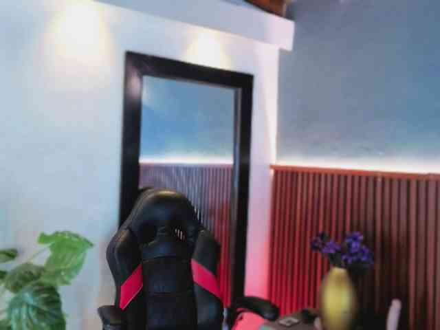 Gaviluc webcam