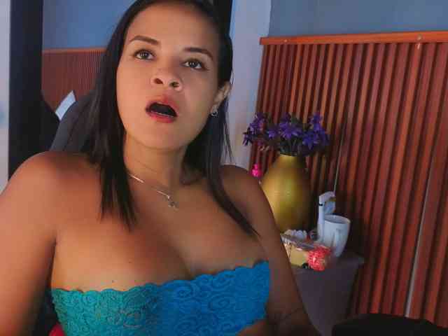 Gaviluc webcam