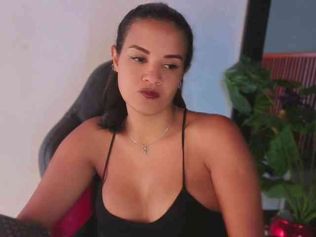 Gaviluc webcam
