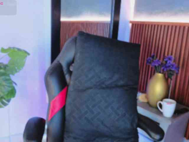 Gaviluc webcam