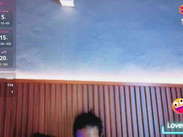 Gaviluc webcam