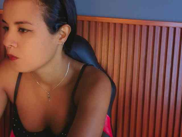 Gaviluc webcam