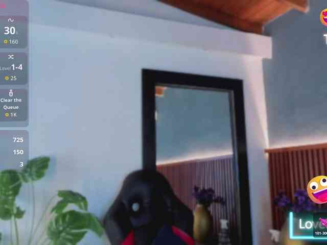 Gaviluc webcam