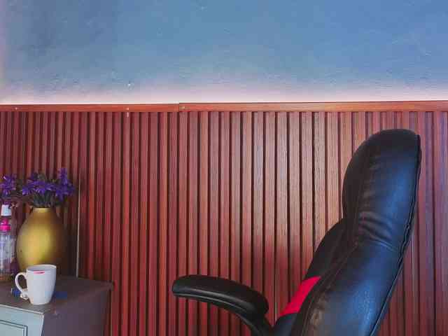Gaviluc webcam