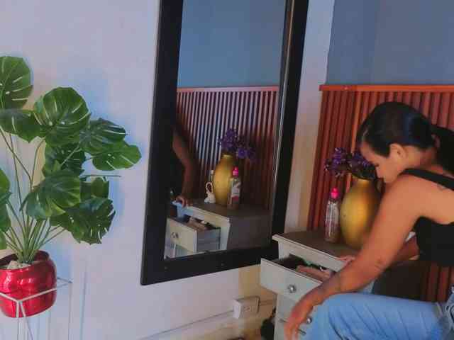 Gaviluc webcam