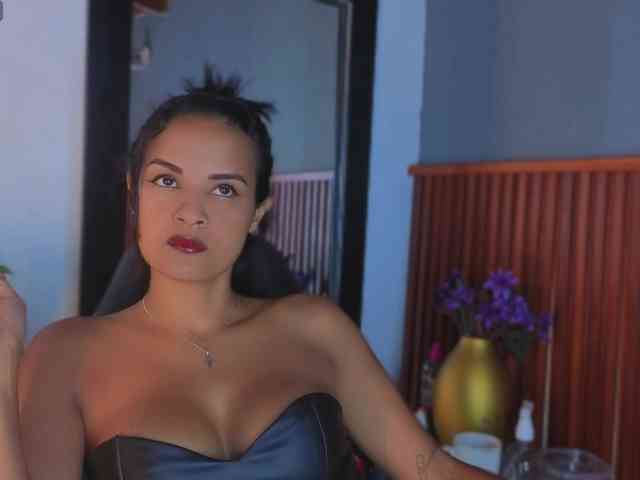 Gaviluc webcam