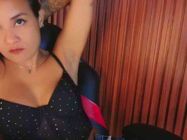 Gaviluc webcam