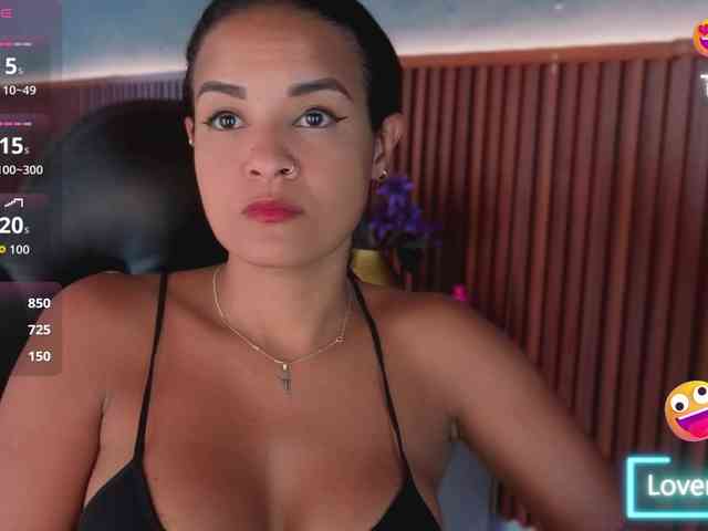 Gaviluc webcam