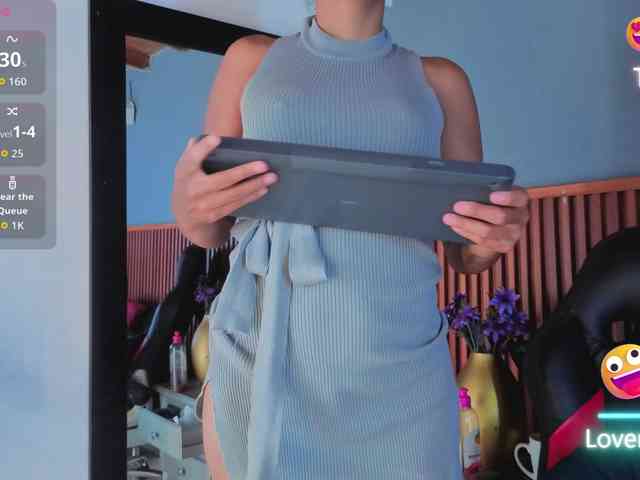 Gaviluc webcam
