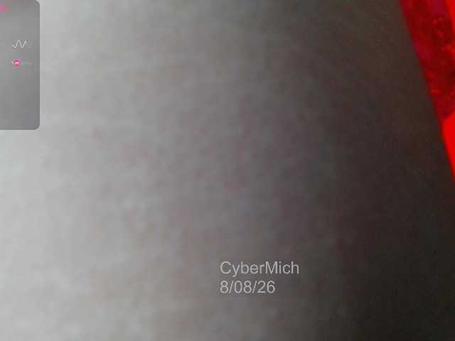 CyberMich