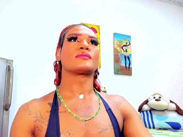 dirtybigcock1 Live Webcam on BongaCams