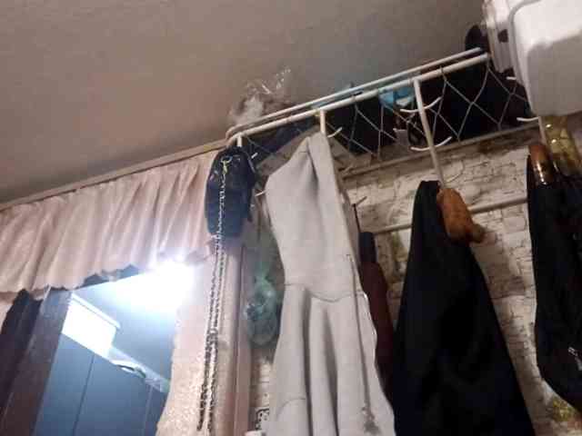 RenitaEckl webcam