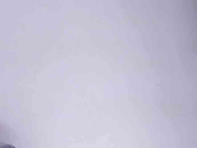 violetaRocher