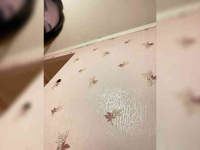 Margo--1 Sex Cam Show