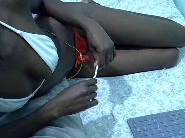 Slim-sheddy webcam