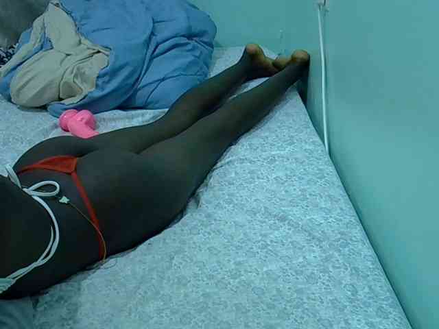 Slim-sheddy webcam