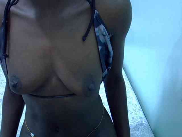 Slim-sheddy webcam