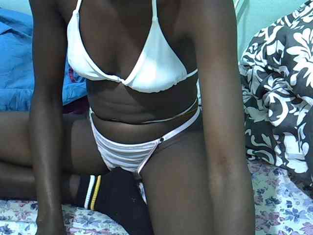 Slim-sheddy webcam