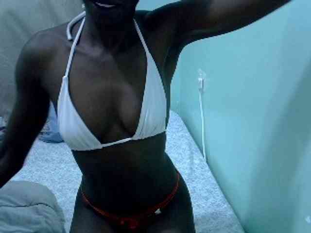 Slim-sheddy webcam
