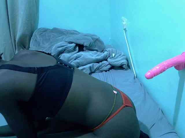 Slim-sheddy webcam