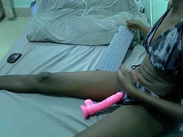 Slim-sheddy webcam