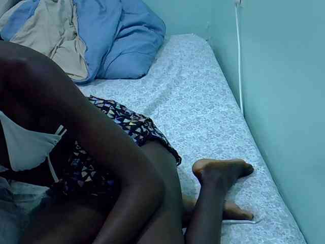Slim-sheddy webcam