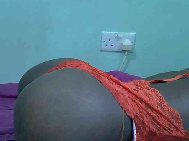 Slim-sheddy webcam
