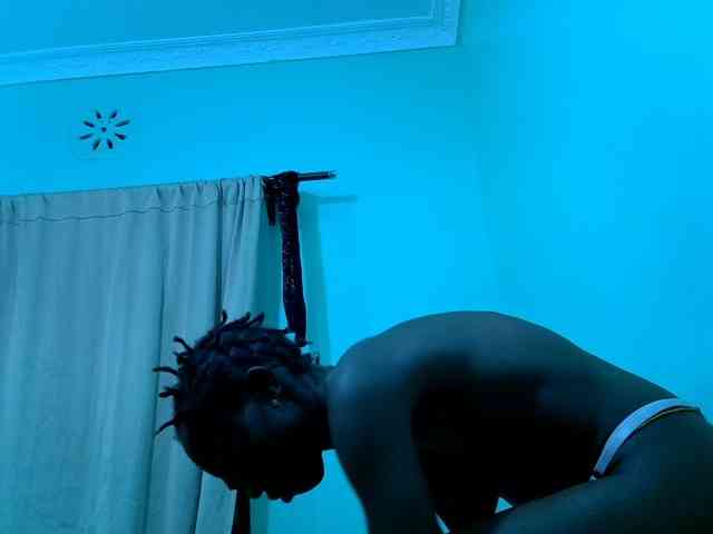 Slim-sheddy webcam