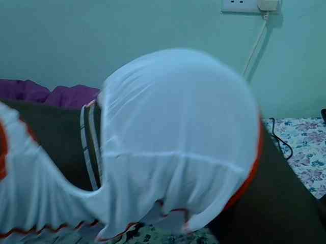 Slim-sheddy webcam