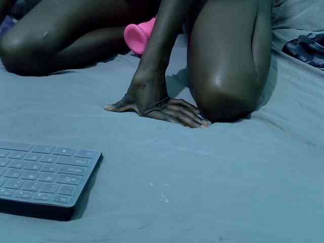 Slim-sheddy webcam
