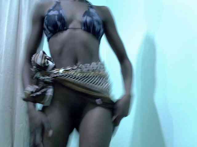 Slim-sheddy webcam