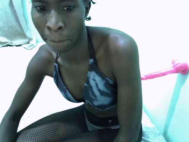 Slim-sheddy webcam