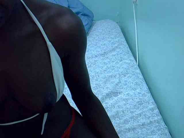 Slim-sheddy webcam