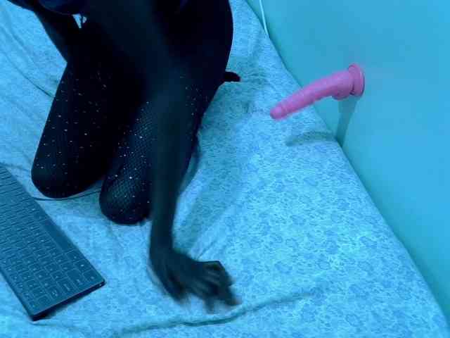 Slim-sheddy webcam