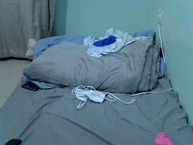 Slim-sheddy webcam