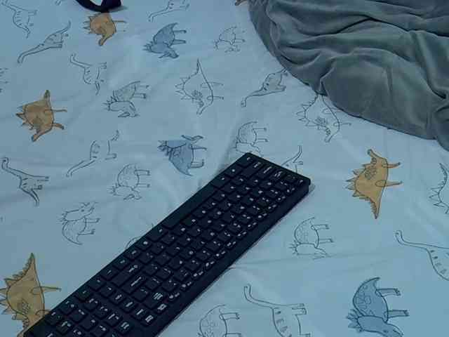Slim-sheddy webcam