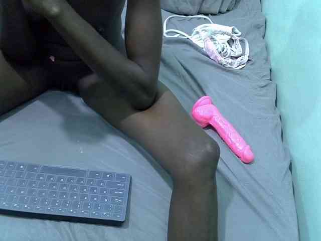 Slim-sheddy webcam