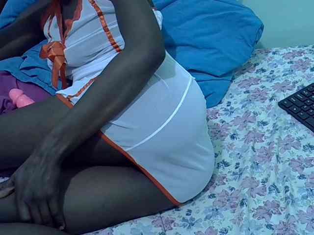 Slim-sheddy webcam