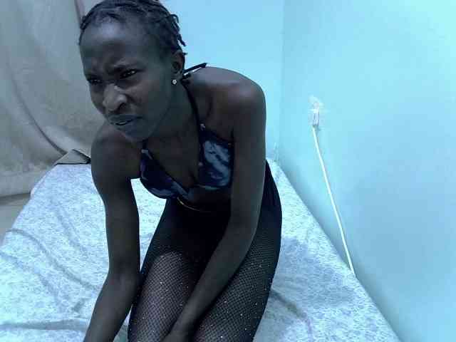 Slim-sheddy webcam