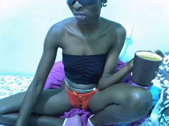 Slim-sheddy webcam