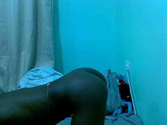 Slim-sheddy webcam