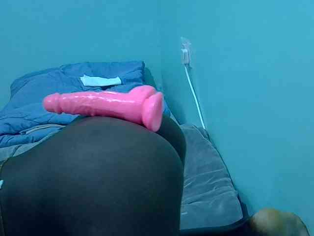 Slim-sheddy webcam